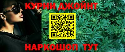 сатива Моздок