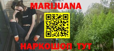 сатива Моздок